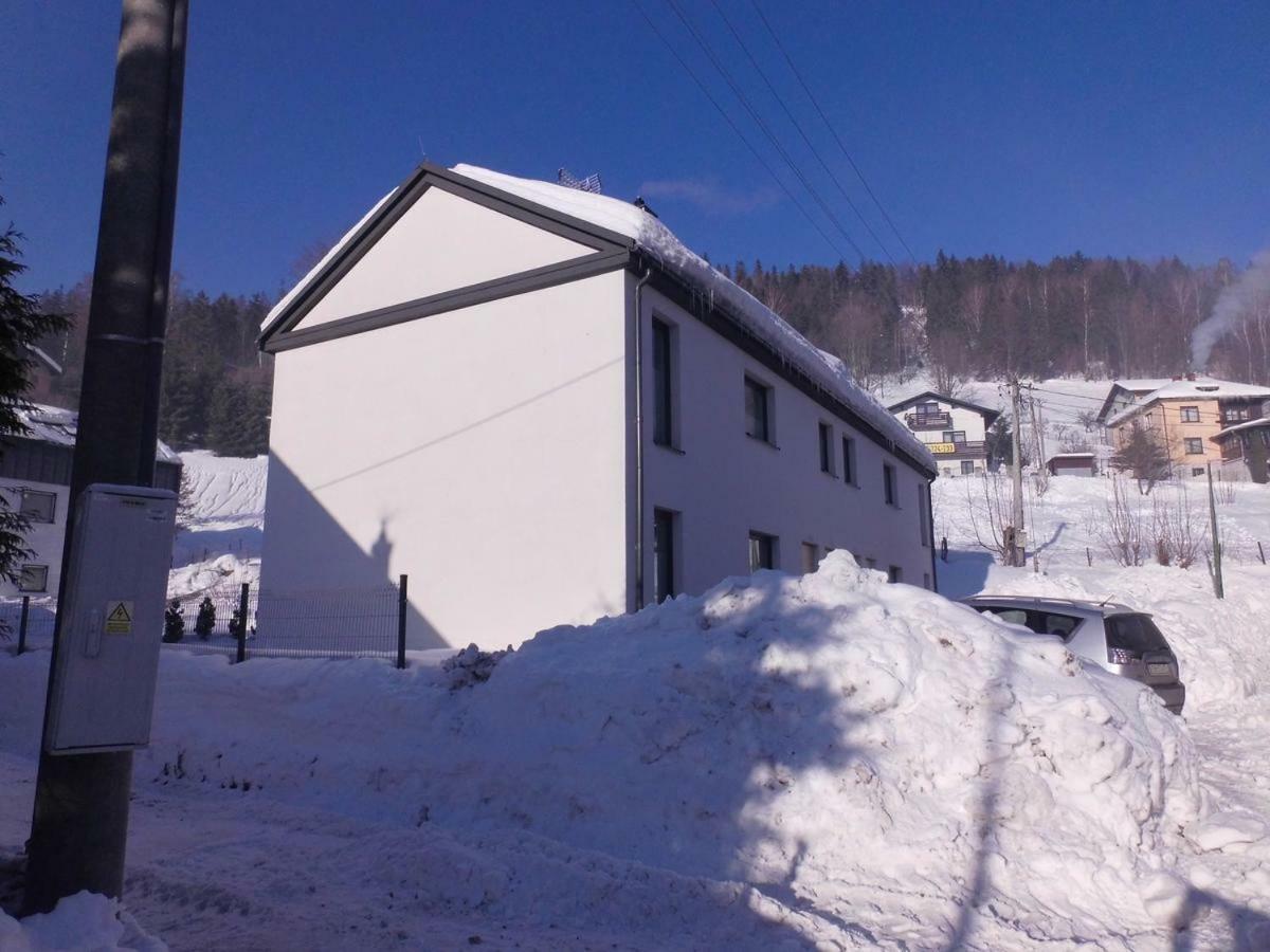 Kasztanowy Blisko Centrum - Dream